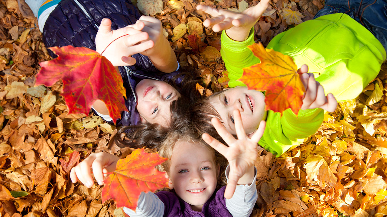Kinder mit Herbstblättern - Kinderkrippe Stärnschnuppe - Fotolia