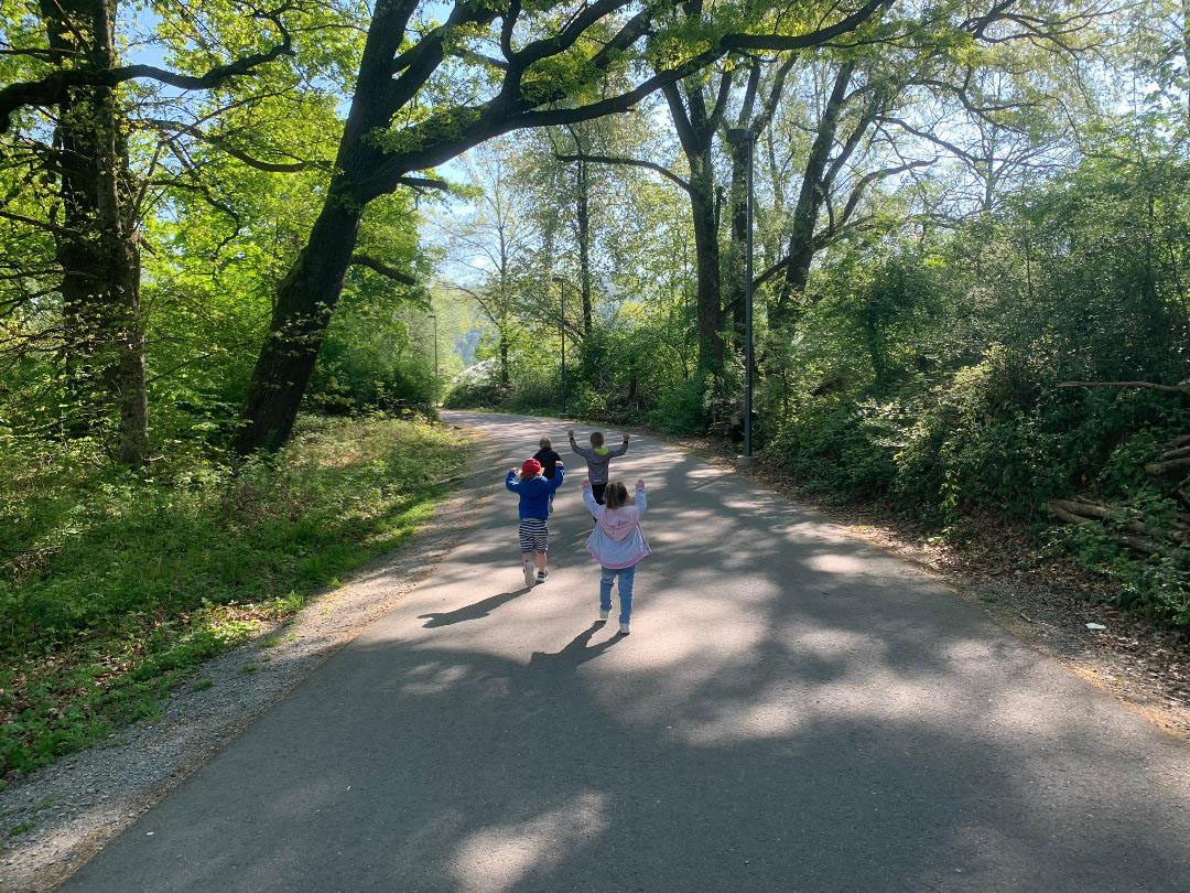 Spaziergang im Allmendwald - Kinderkrippe Stärnschnuppe Kriens