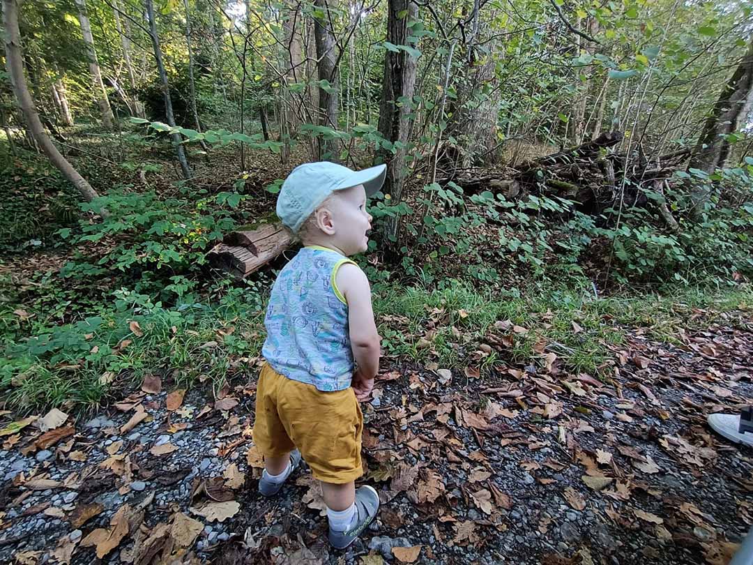 Baby entdeckt die vielen Herbstblätter
