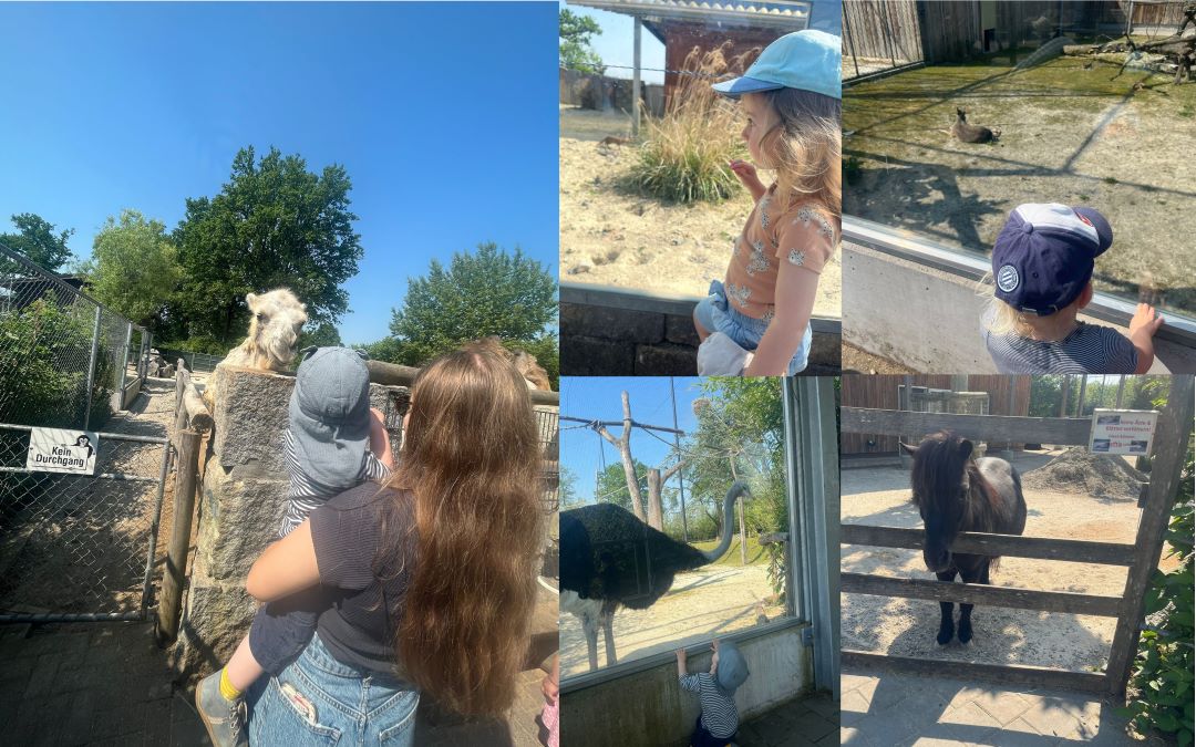 Besuch im Tonis Zoo - Kinderkrippe Stärnschnuppe Kriens